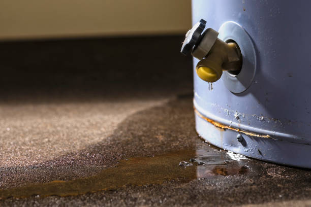 Best Ceiling water damage repair  in Grantsburg, WI