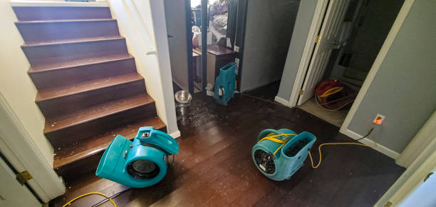 Best Water damage restoration mold remediation  in Grantsburg, WI
