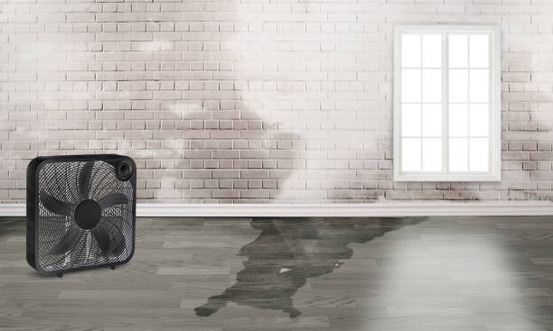 Best Water damage restoration company  in Grantsburg, WI