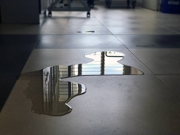 Best Commercial water damage restoration  in Grantsburg, WI