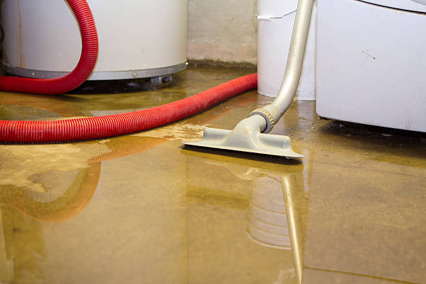 Best Flood damage cleanup  in Grantsburg, WI